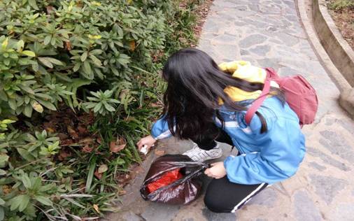 南郊公园社会实践19