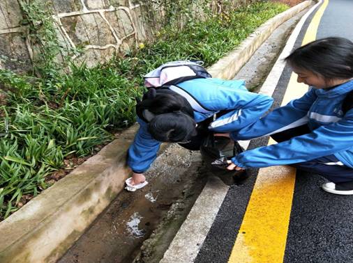 南郊公园社会实践19