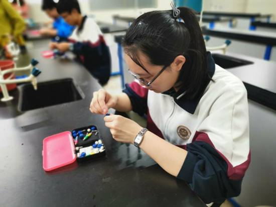 mmexport155******274252