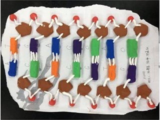 明德中学第十二届科技读书节系列活动之第二届生物实验技能大赛