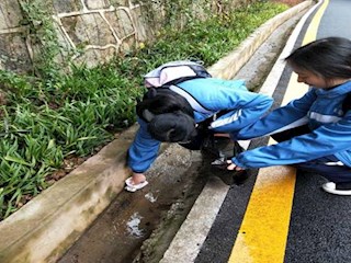 环境护绿 人人有责——记明德中学K435班南郊公园实践行