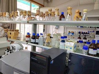 探究实践活动  科学指引生活——记明德中学K457班寒假社会实践活动