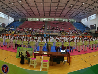 硬核!我校跆拳道队在2019年中国中学生跆拳道联赛中夺得多项冠军及团体总分第一！